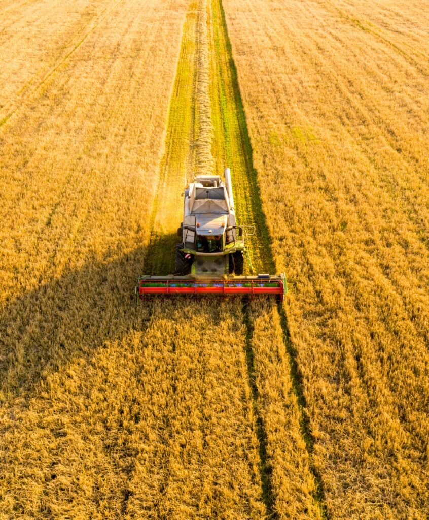 WhatsApp Image 2024-09-26 at 09.33.17