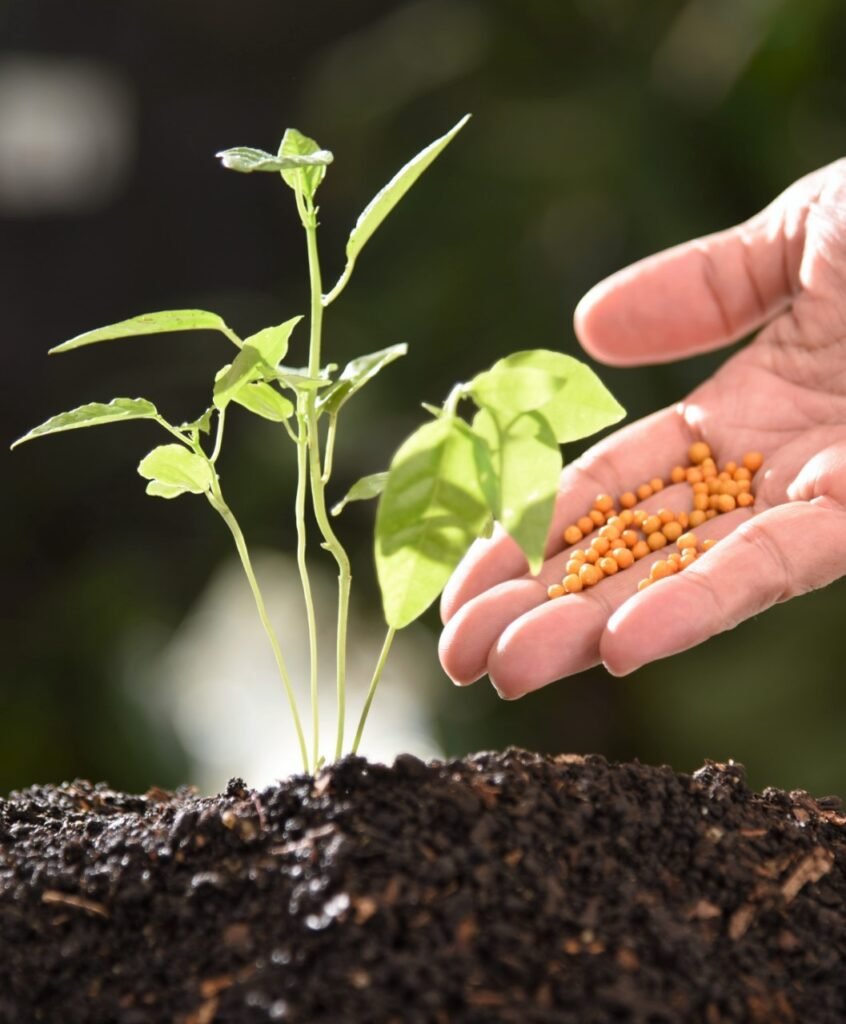 WhatsApp Image 2024-09-26 at 09.40.28