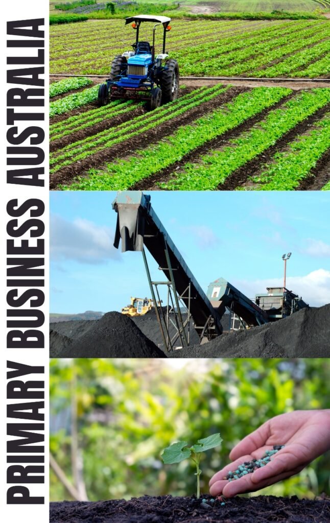 WhatsApp Image 2024-09-26 at 10.49.29